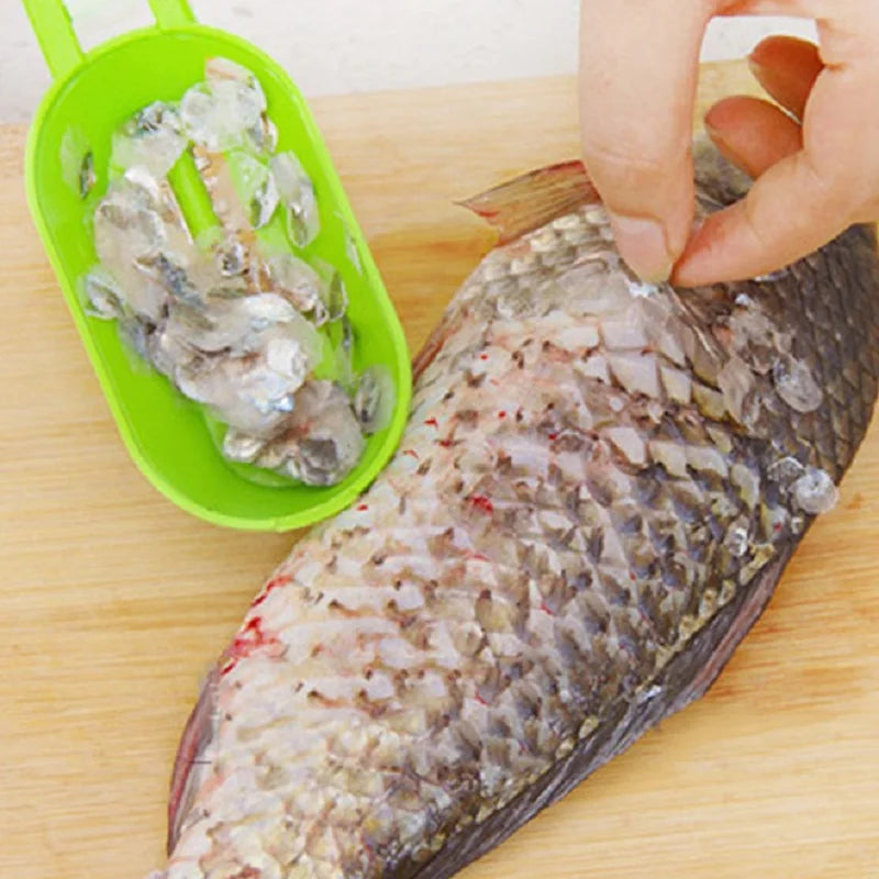 Accessoires de cuisine Grattoir à poisson Couteau en acier inoxydable